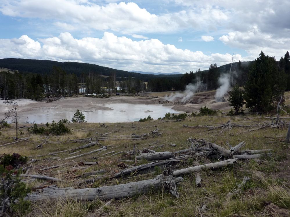 Yellowstone Mud Volcano Area (4).JPG